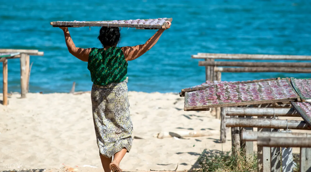 华欣海豚湾 Khao Kalok湾骑行一日游 Klook客路中国 华欣海豚湾 Khao Kalok湾骑行一日游 Klook客路中国