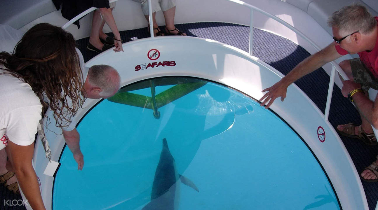 Hawaii Waikoloa GlassBottom Boat Cruise