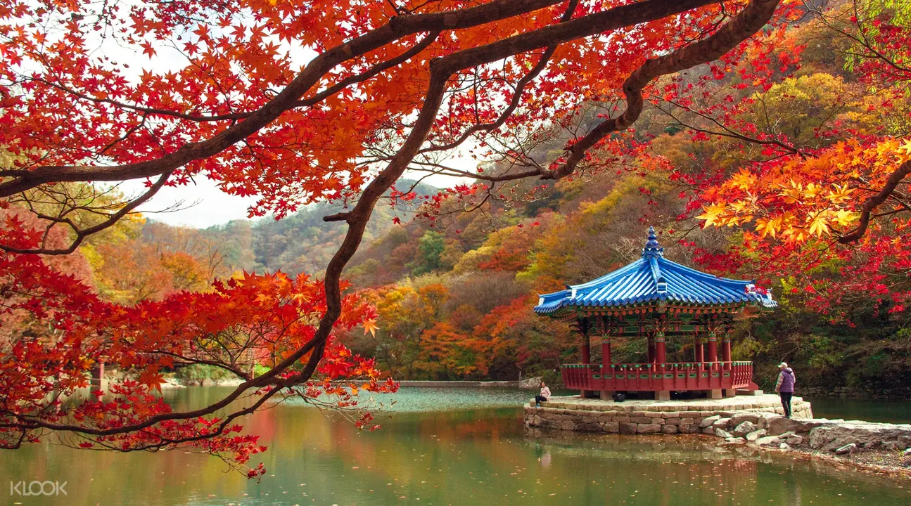 Naejangsan National Park Autumn Season Day Trip dari Seoul oleh World Love  Travel