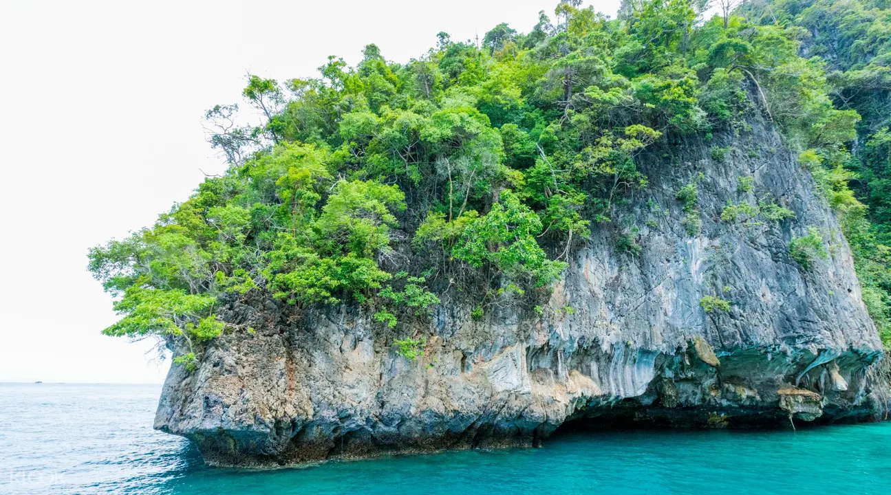 monkey beach krabi