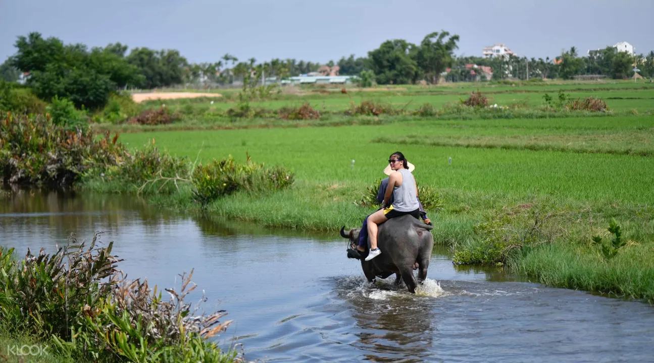 woman riding buffalo