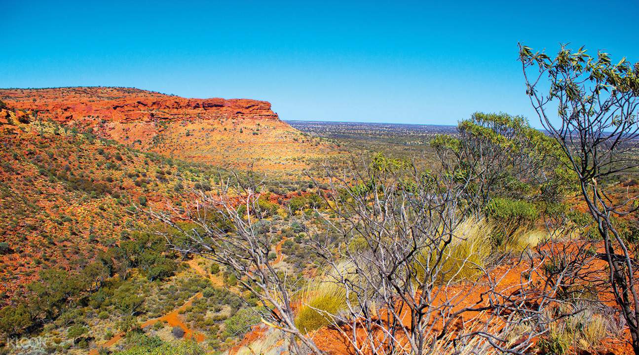 Shared Shuttle Bus Transfers from Kings Canyon to Alice Springs Klook