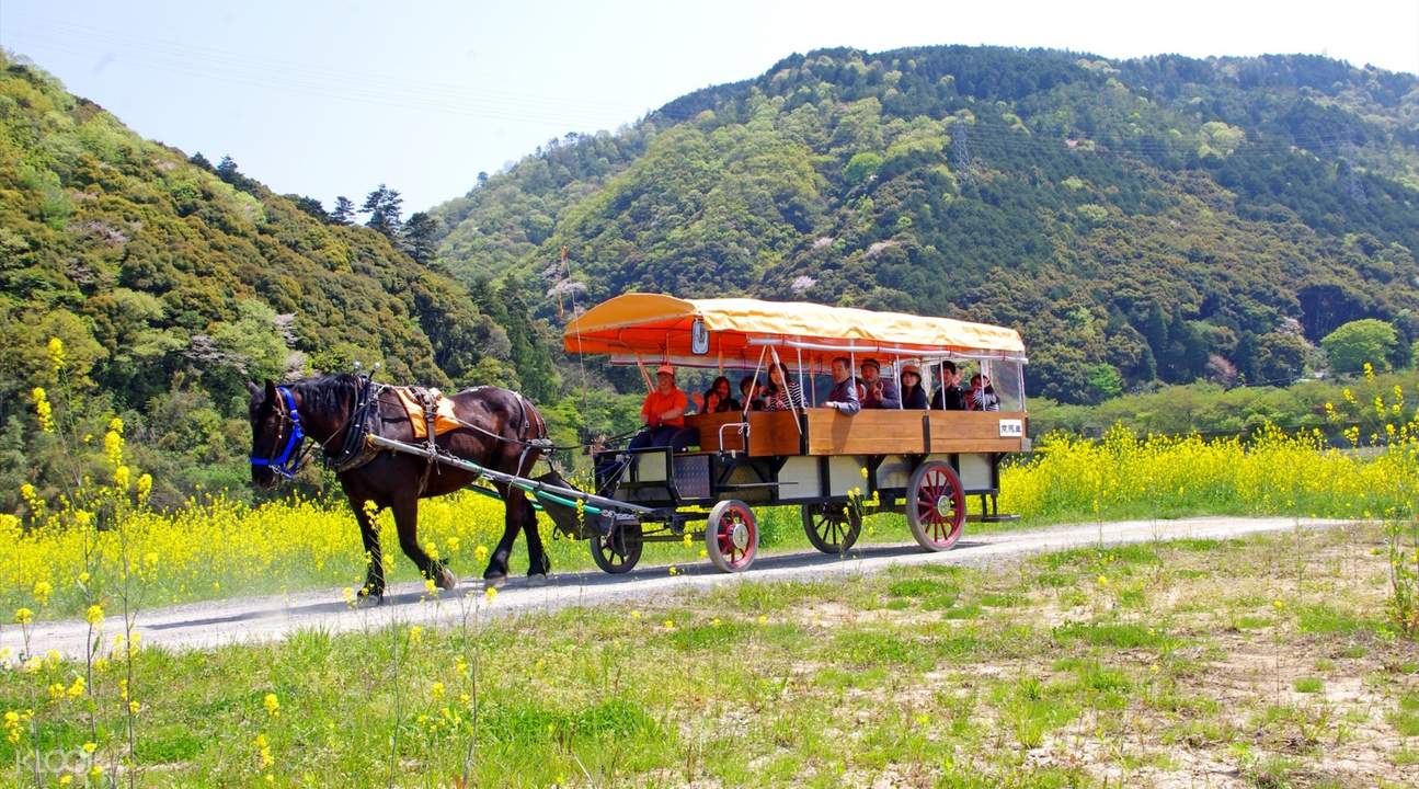 古韵悠悠话仿古马车