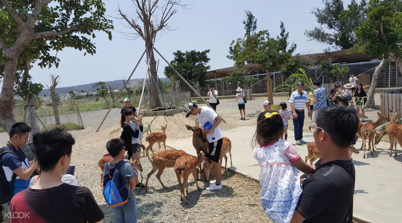 屏东 垦丁鹿境梅花鹿生态园区 门票 Klook客路中国