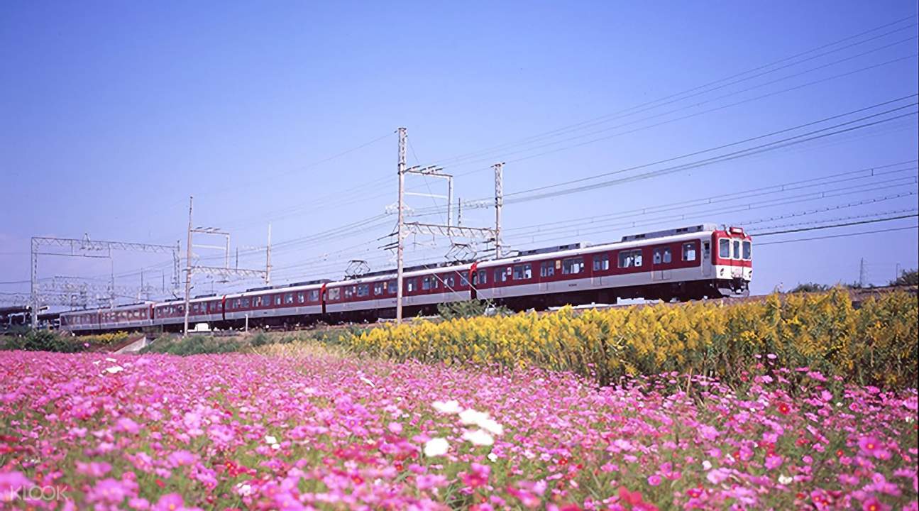 Nankai Line Airport Express Train Ticket and 5 Days Kintetsu Rail Pass