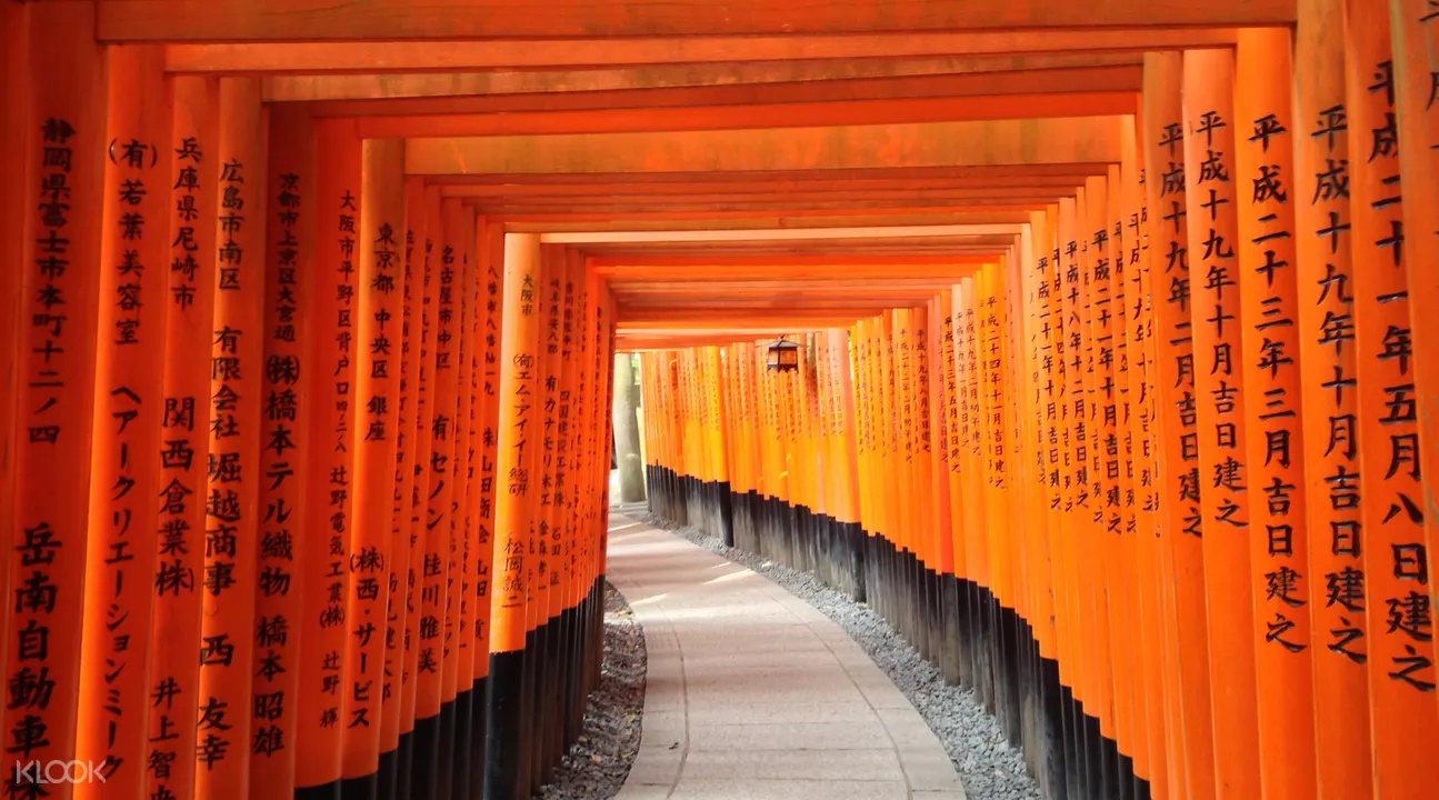 Kyoto And Nara Discover The Ancient City Day Tour From Osaka Klook United States