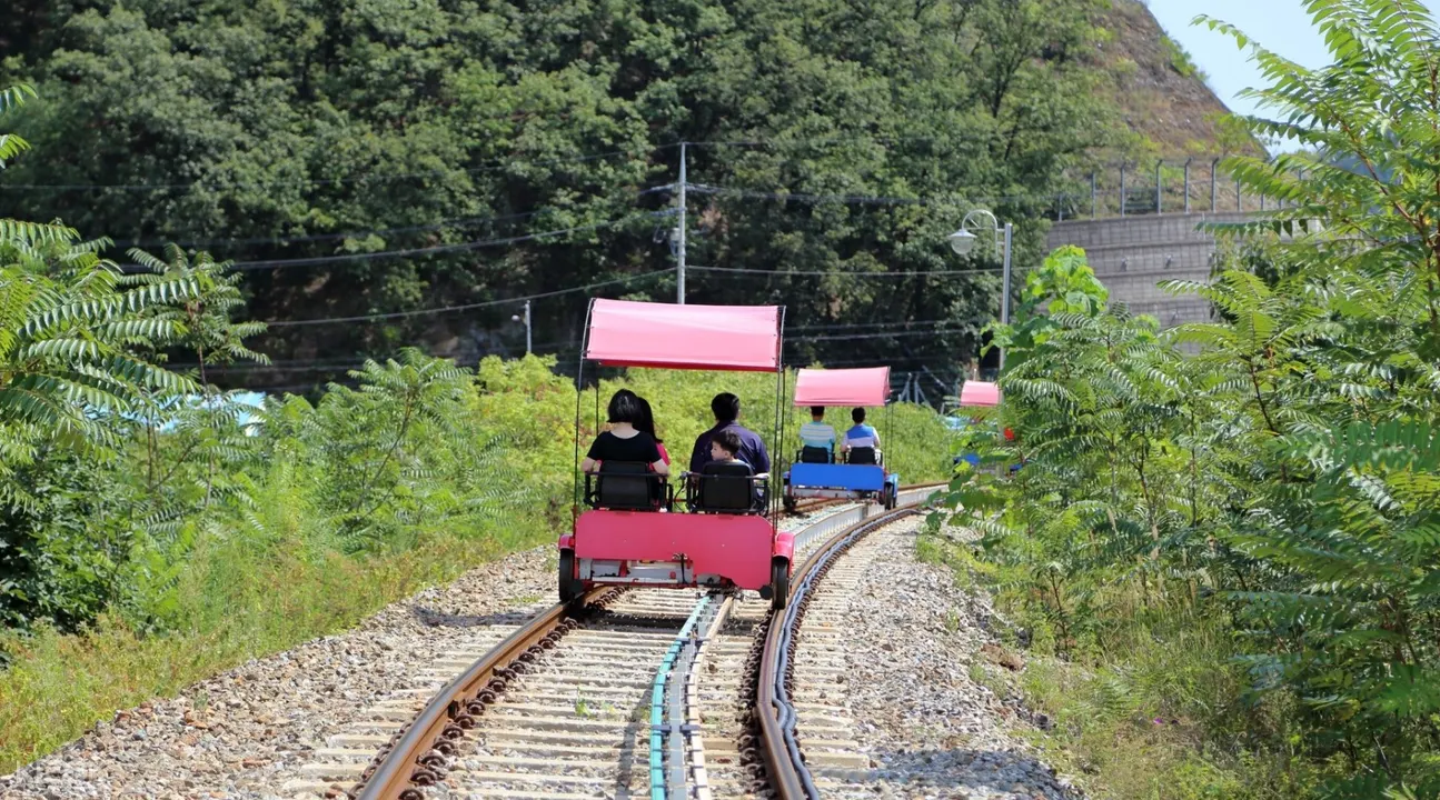Nami Island, Petite France, and Rail Bike Private Tour dari Seoul