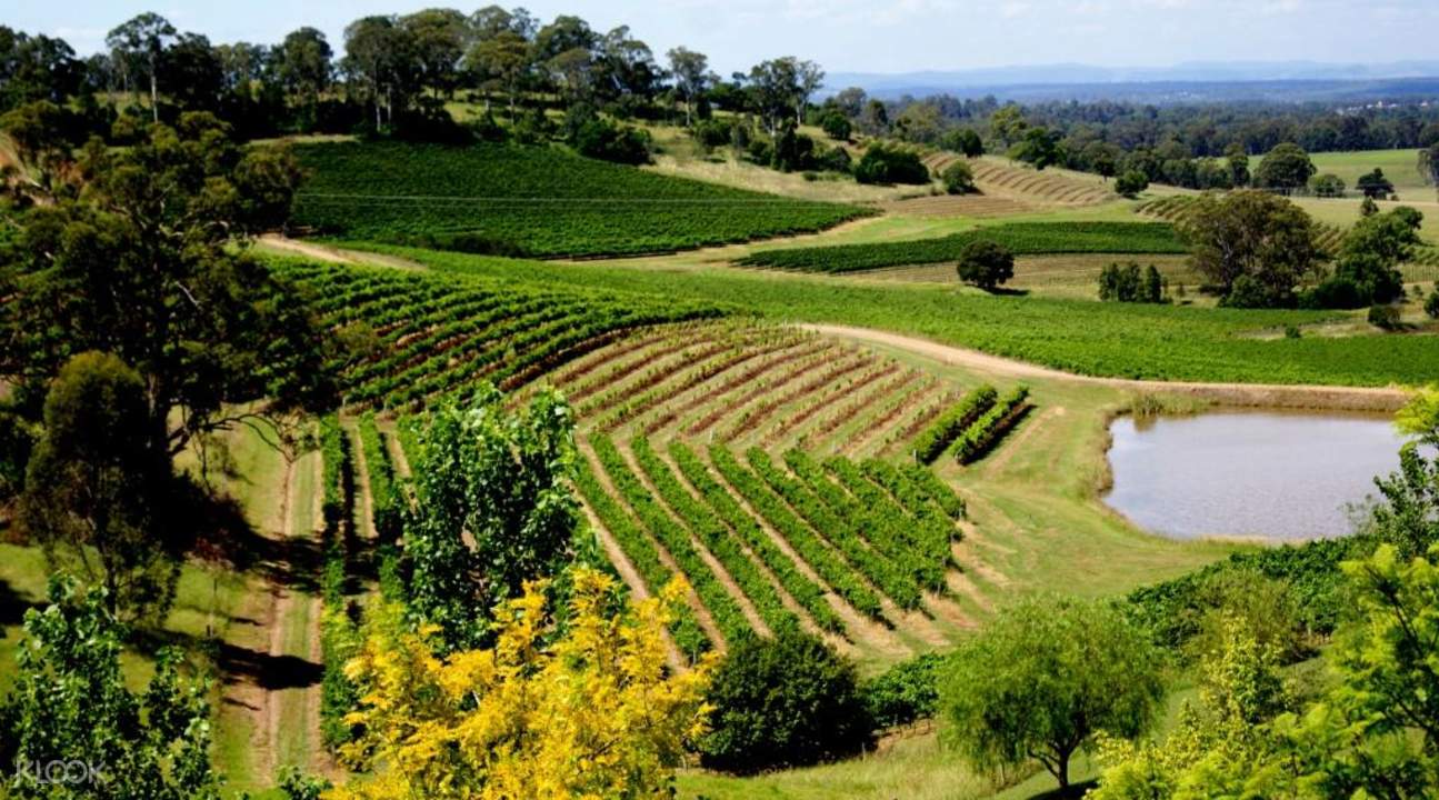 Hunter Valley Wine Experience Day Tour Klook Canada