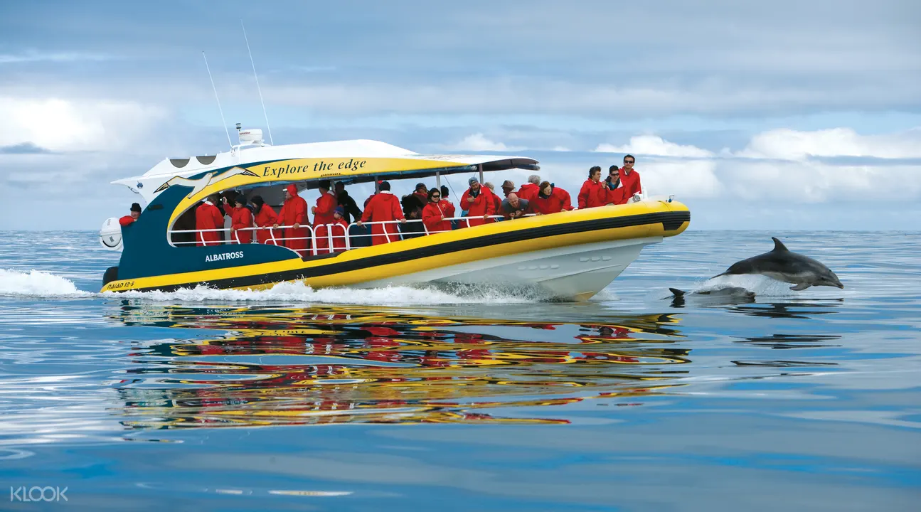 Tasman Island Experience