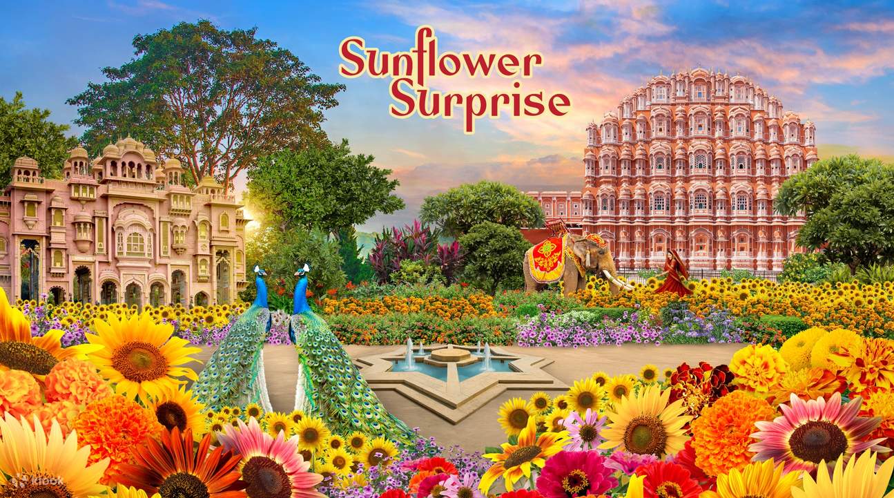 [Sunflower Surprise]