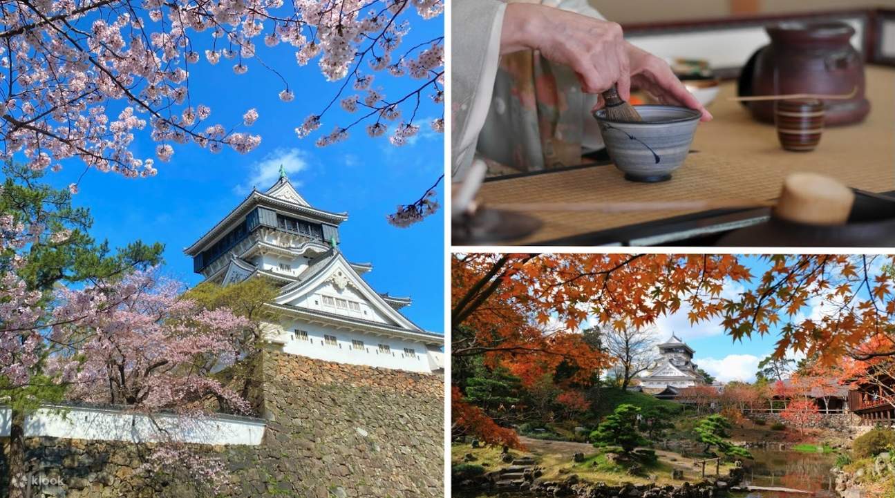 Kokura Castle + Kokura Castle Garden  + Tea ceremony experience