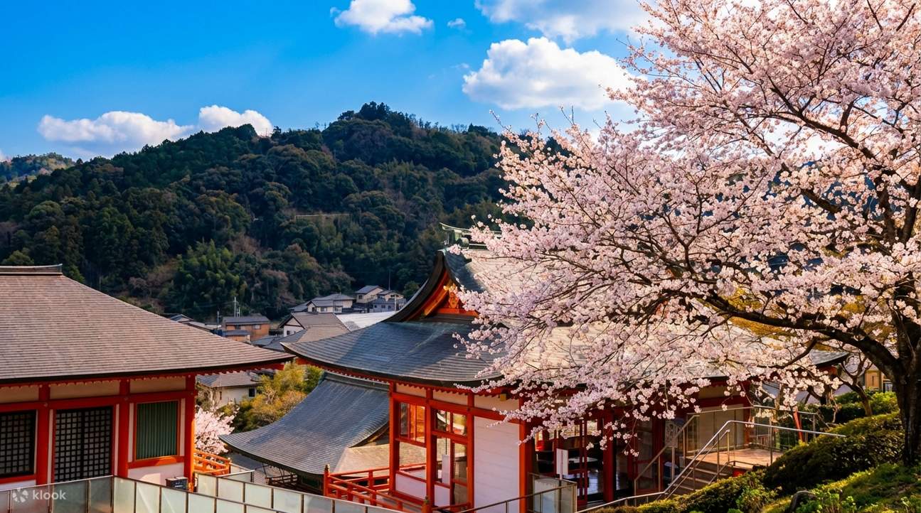 [Kyushu Day Trip] Saga Yūtoku Inari Shrine + Ōuo Shrine + Arita ...