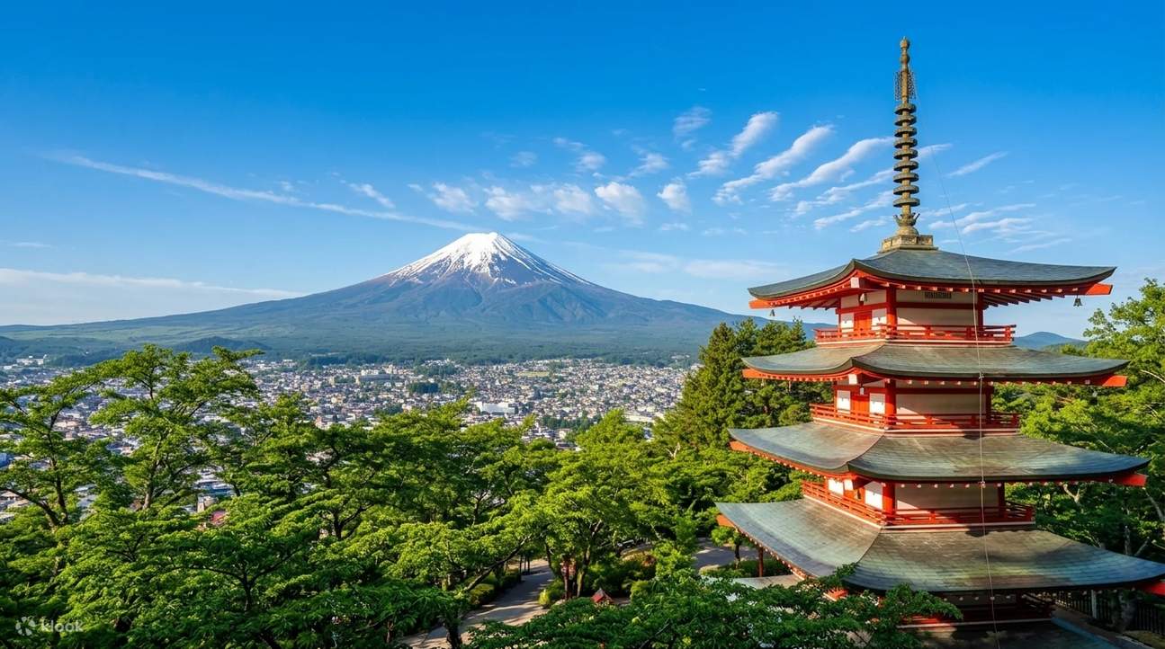 富士山雙湖自然體驗一日遊｜大石公園&忍野八海&山中湖喂天鵝&山中湖