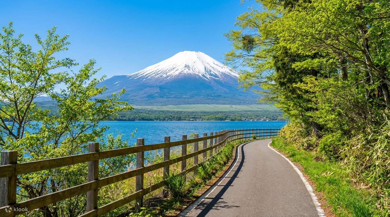 富士山＆箱根：箱根神社＆水上鳥居＆海賊船＆大涌谷＆山中湖＆忍野八海