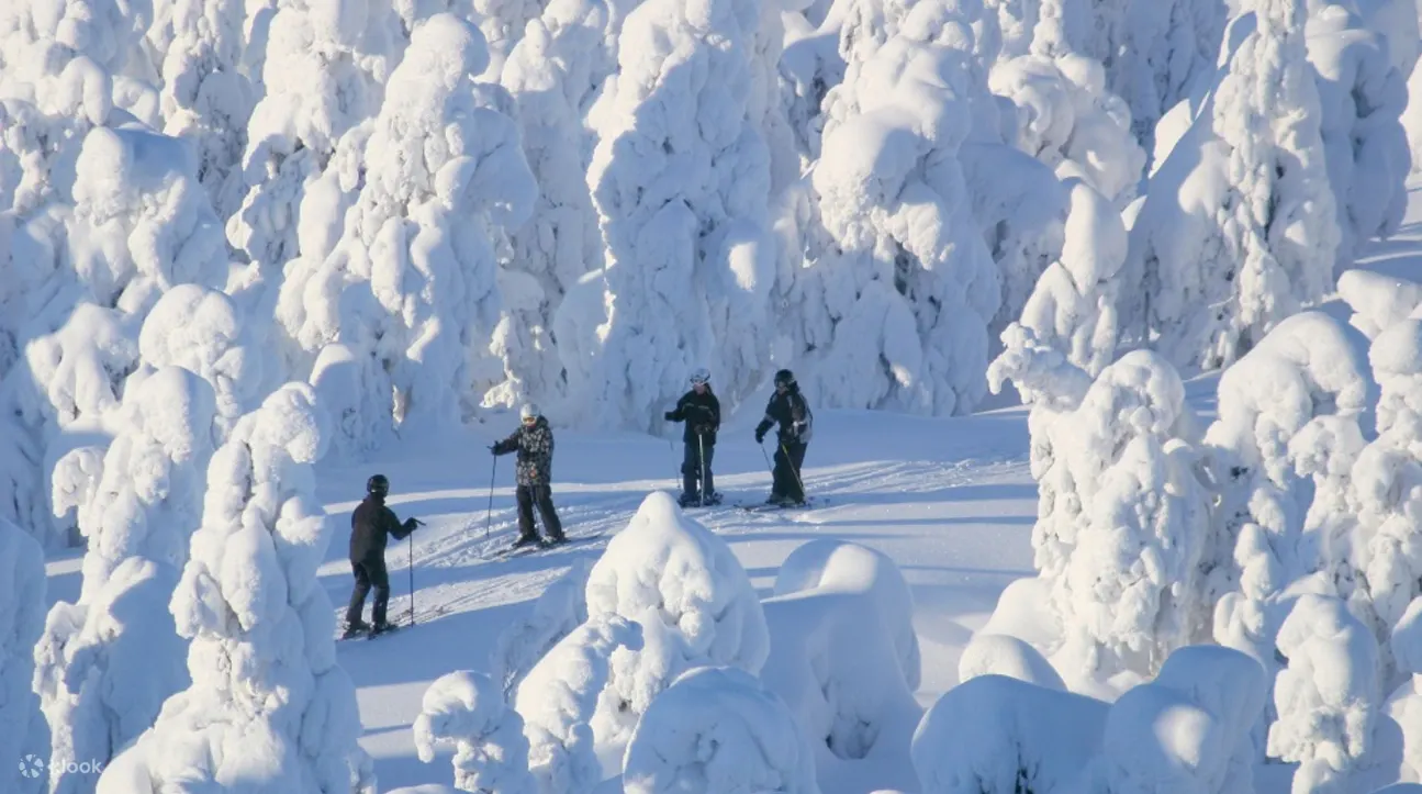 一群人在拉普兰滑雪