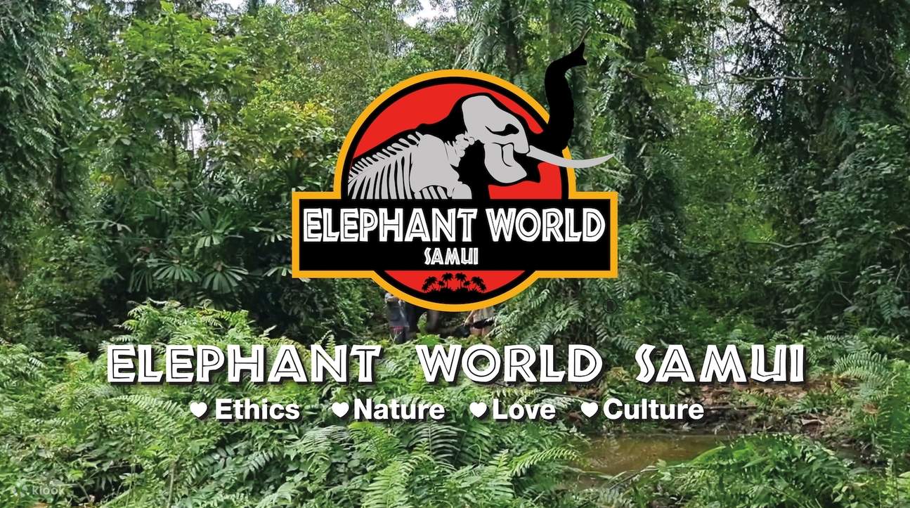 Elephant World Project