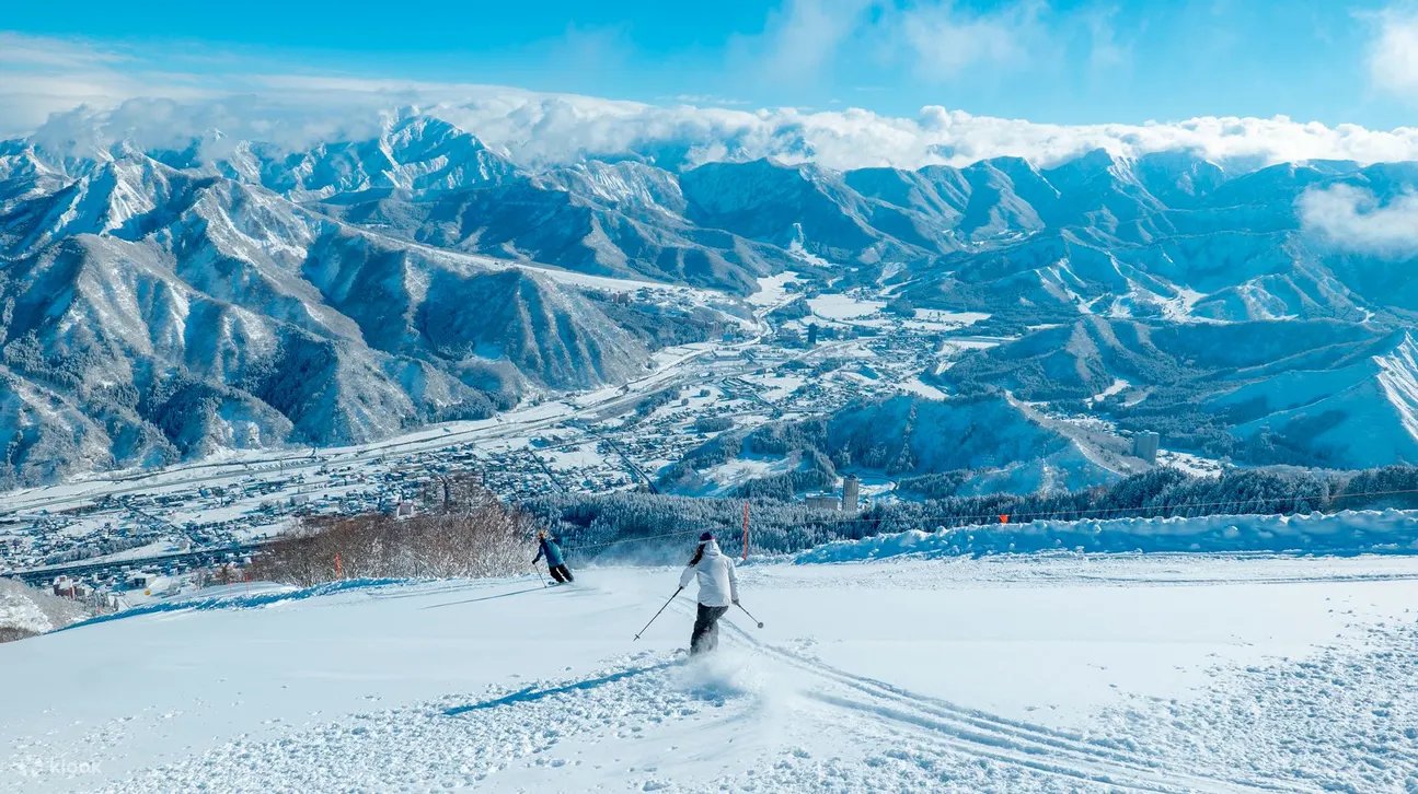 汤泽/南鱼沼公共缆车票 ELEVEN+