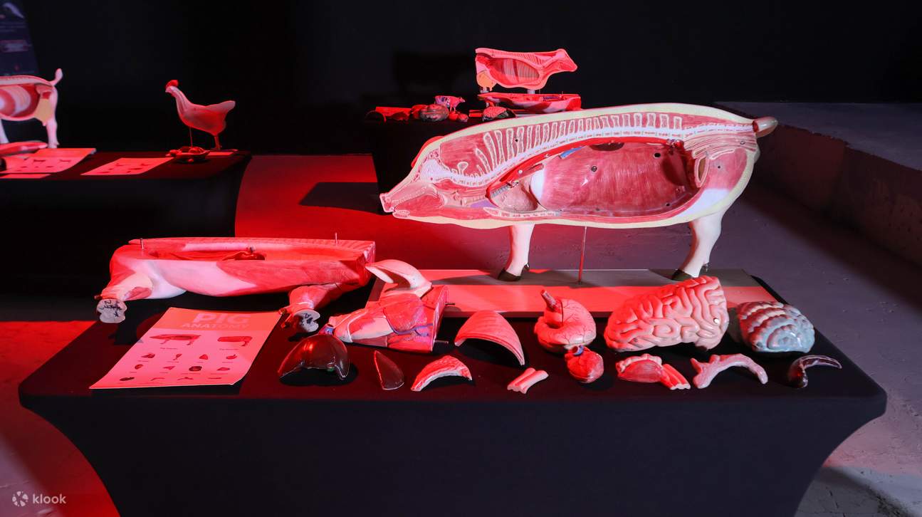 Science XPdition Ticket in Iloilo