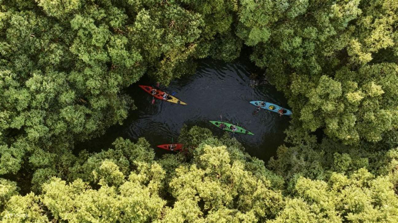 Basis Olahraga Luar Ruangan Kayak Dongbang Shanghai (Kayak+Papan Dayung ...