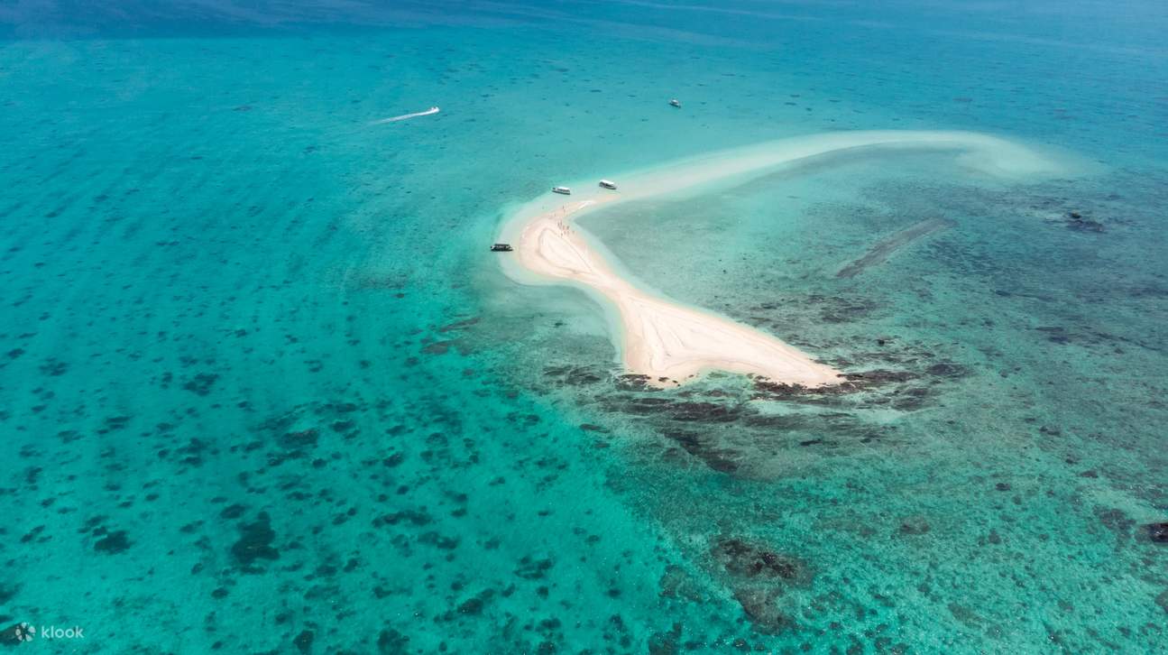 Đảo Ishigaki & Đảo Taketomi: Lên đảo Maboroshi & Lặn biển ngắm san hô (Okinawa)