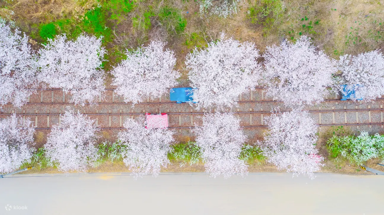 gangchon rail bike road