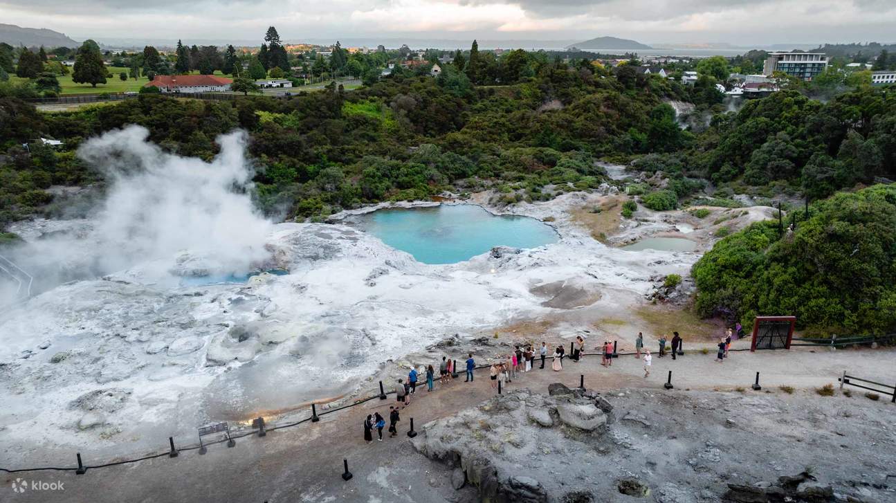 Marvel at our geothermal wonderland, alive with geysers, steam, and bubbling pools