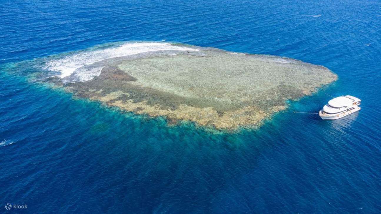 Coral Gardens Full Day Snorkeling Sea Trip & Lunch – Marsa Alam