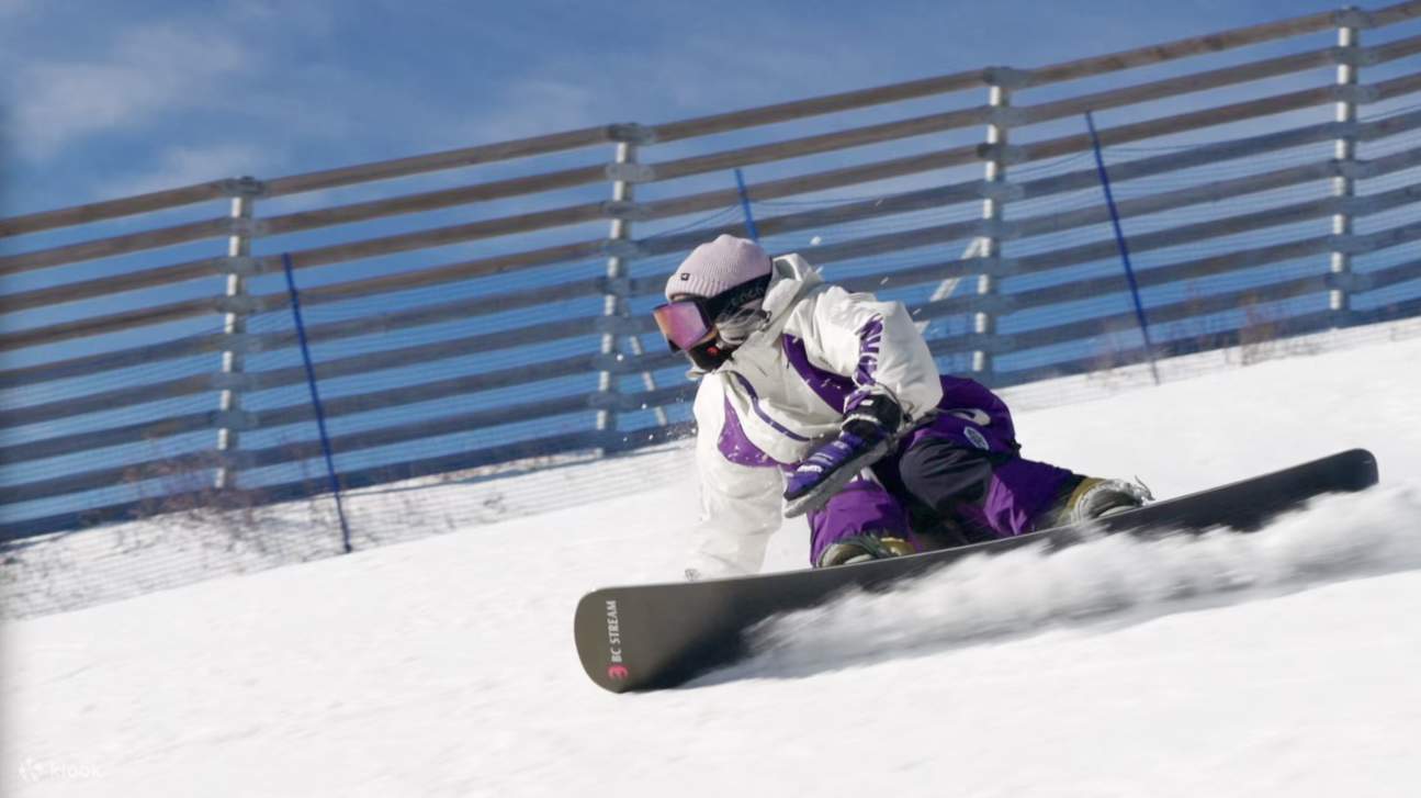 Private Skilehrer-Kurserfahrung (Hokkaido)