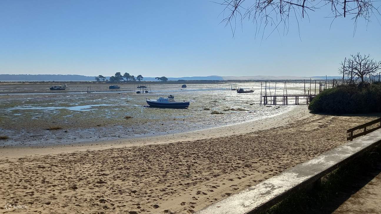 Tour of CapFerret and Herbe Village with Oyster Tasting