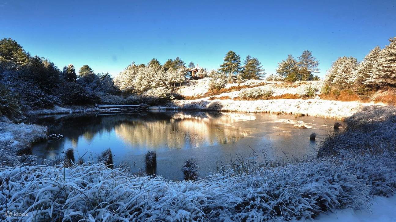 台湾好行 - 889 大雪山线 漫游自然趣 交通套票