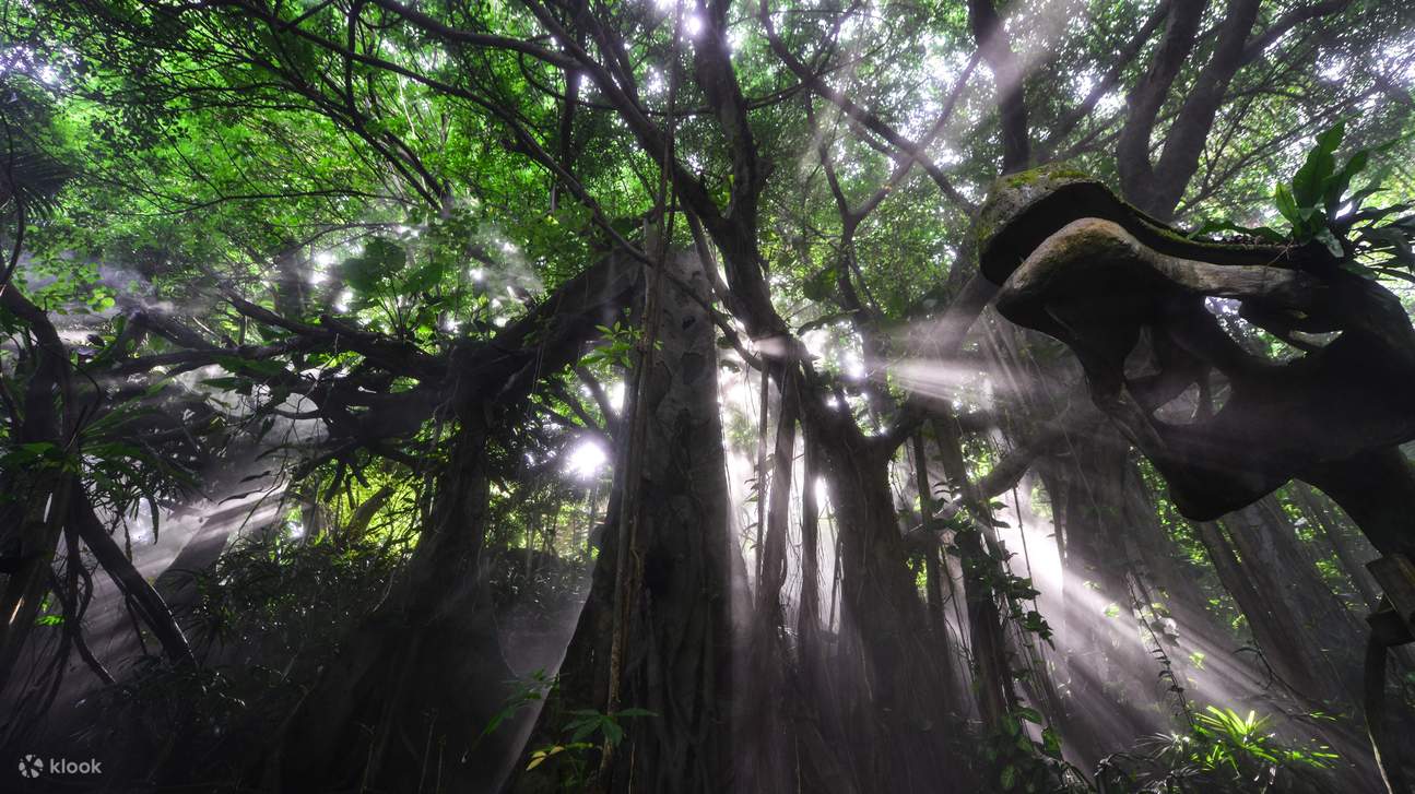 โรงแรมเซินเจิ้น ชิงชิง เวิลด์