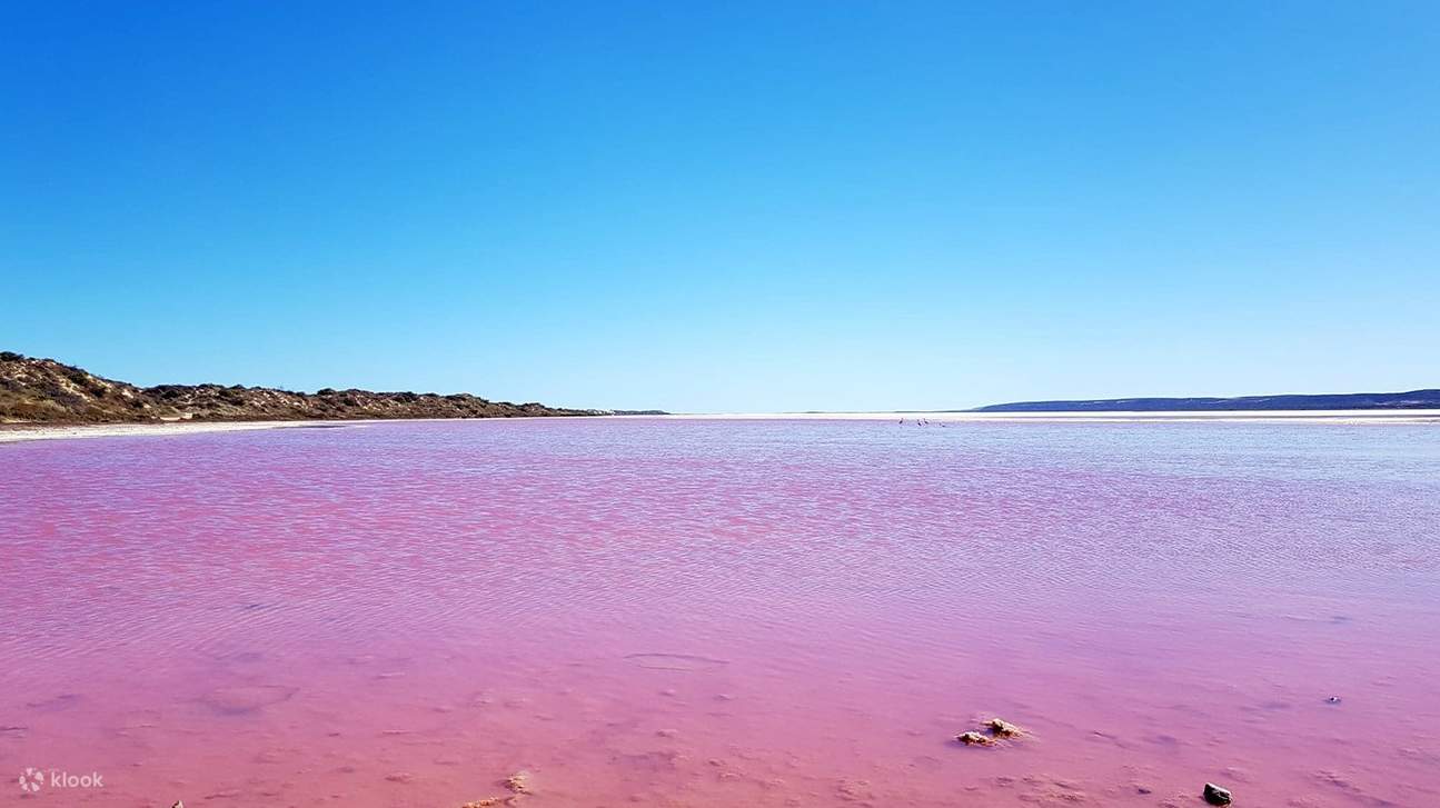 Lac Roz Tur de 2 zile în Australia de Vest la Lacul Roz cu ghid vorbitor de ...