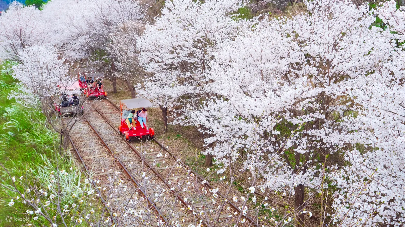 gangchon rail bike