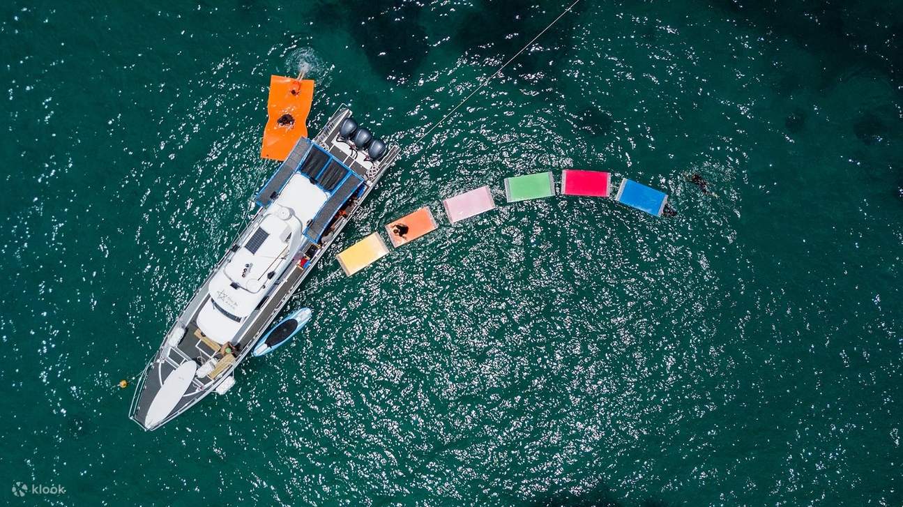 Penghu: Lavender Forest Snorkeling & South Penghu Marine National Park Island Hopping Day Trip & Star Island Yacht