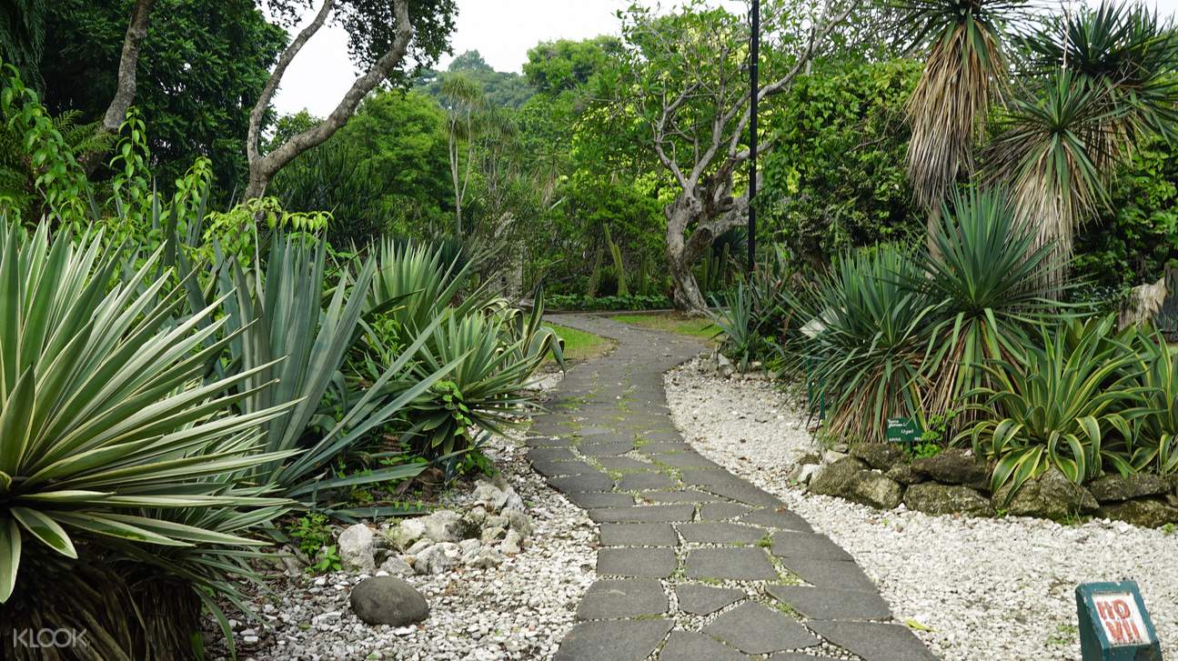 Bogor Botanical Gardens Kebun Raya Bogor Ticket Klook Australia