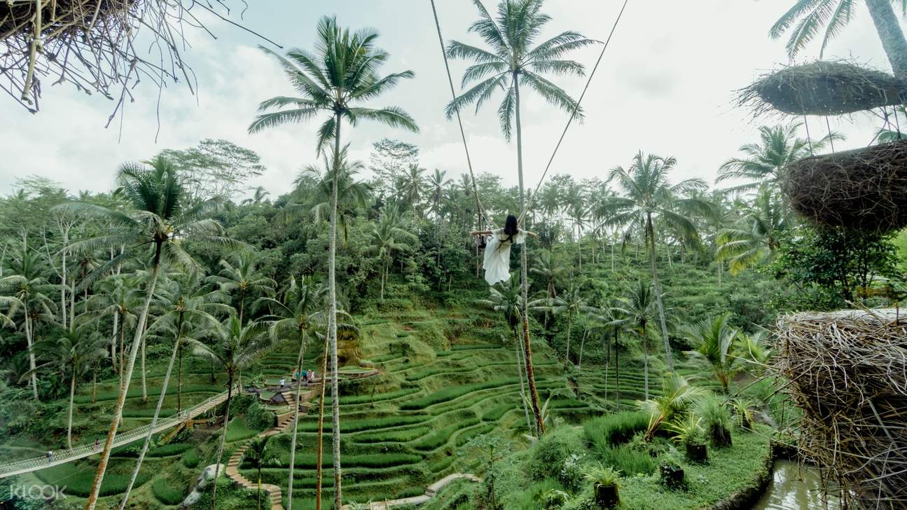 Alas Harum Swing in Tegalalang Ubud, Indonesia