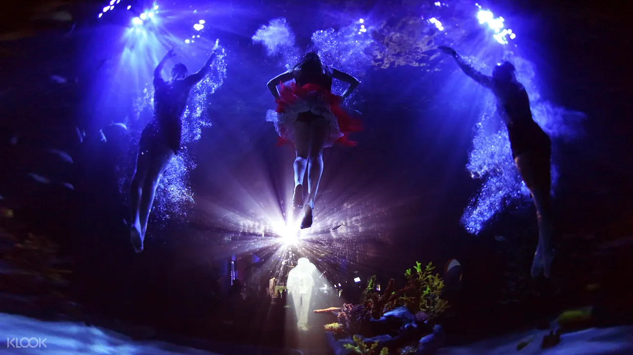 Woongjin水族館門票+ 海底漫步