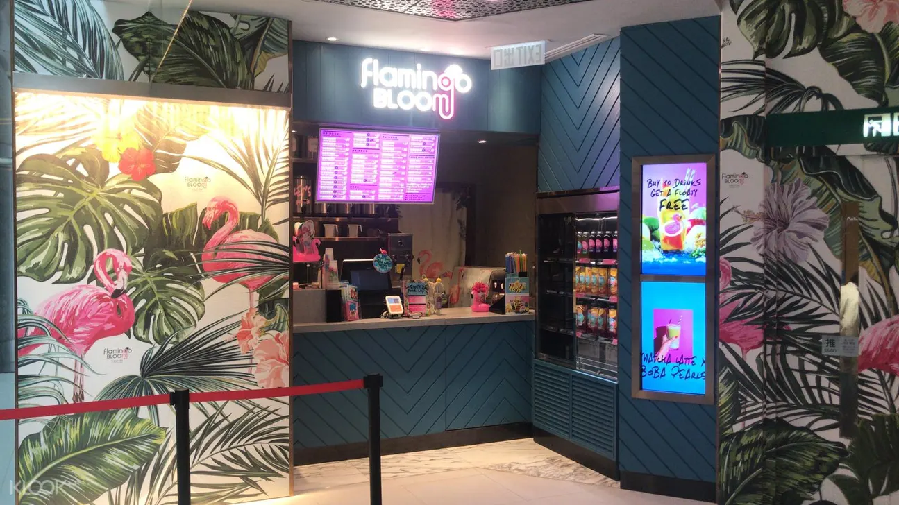 香港flamingo bloom