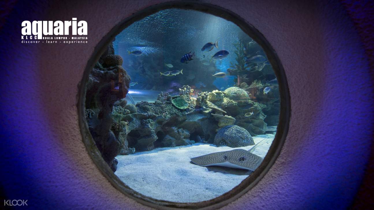 Aquaria KLCC and KL Travel Pass Combo Package in Kuala Lumpur Klook