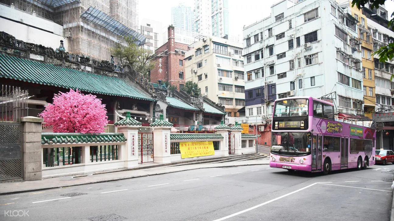 香港觀光巴士通行票