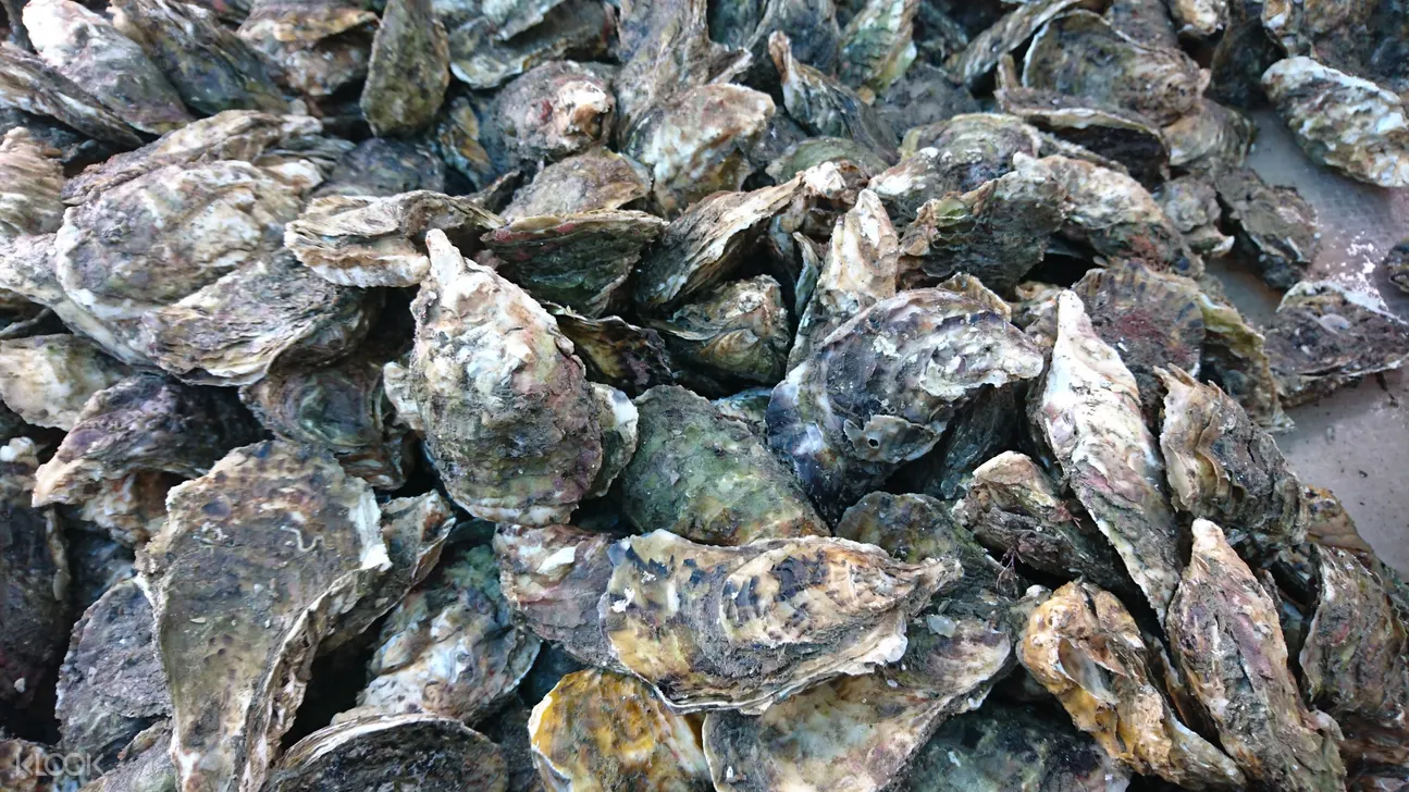 海洋牧場