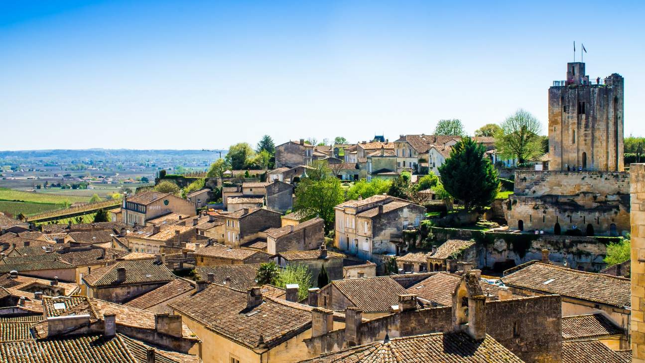 SaintÉmilion Wines and Village Full Day Tour from Bordeaux in France