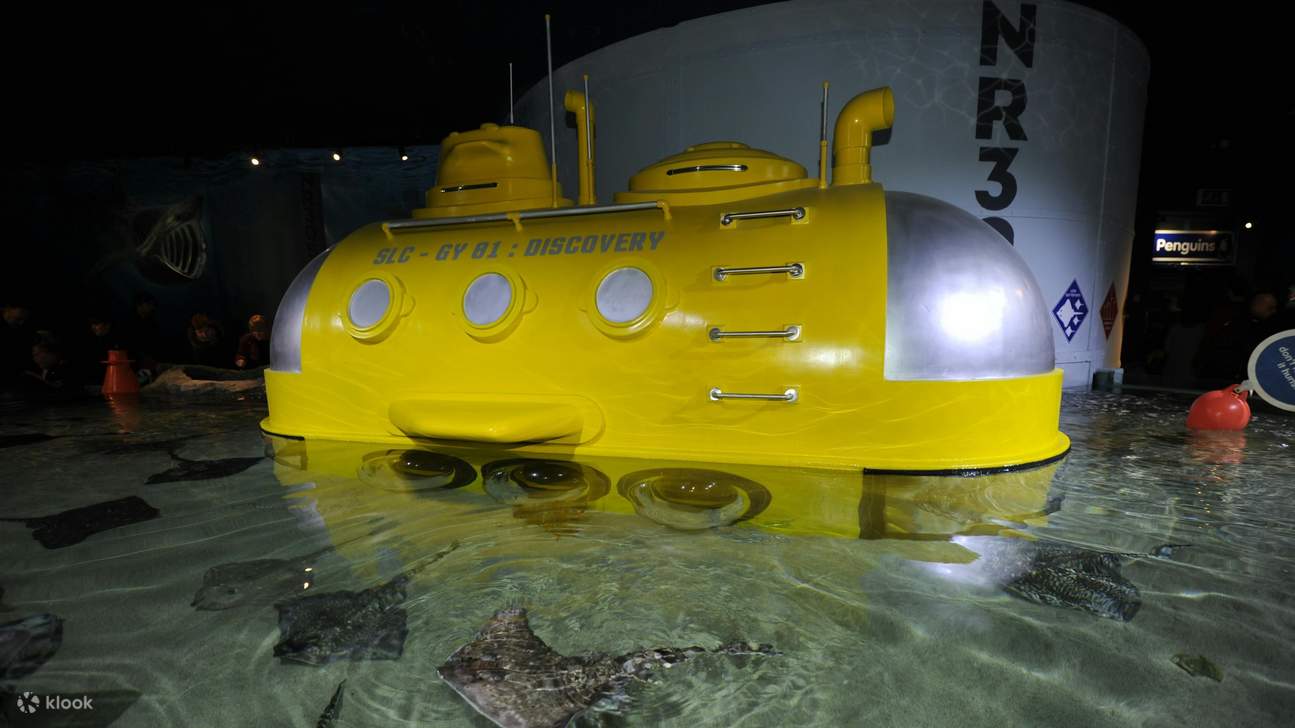 在SEA LIFE水族馆，观赏各种鳐鱼在复制潜艇展览下方优雅地游动