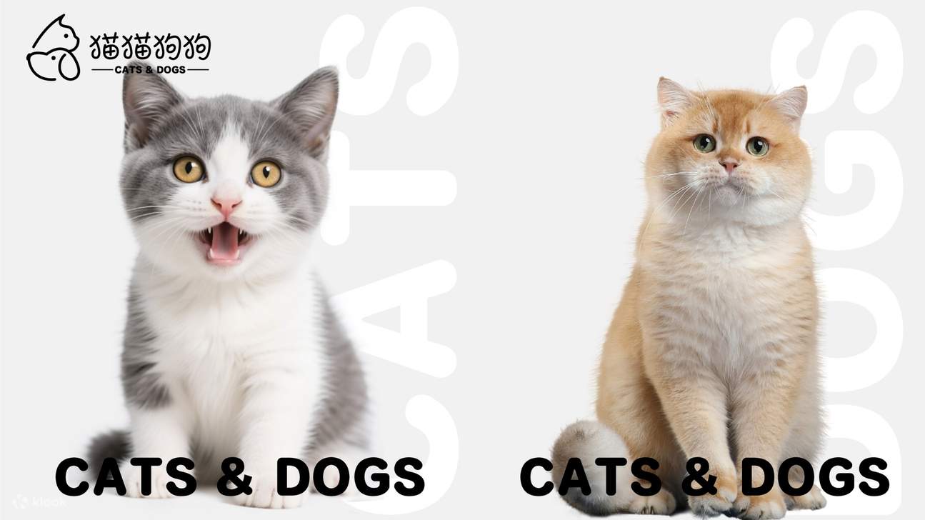 DX-PARK 2.0·地心公園