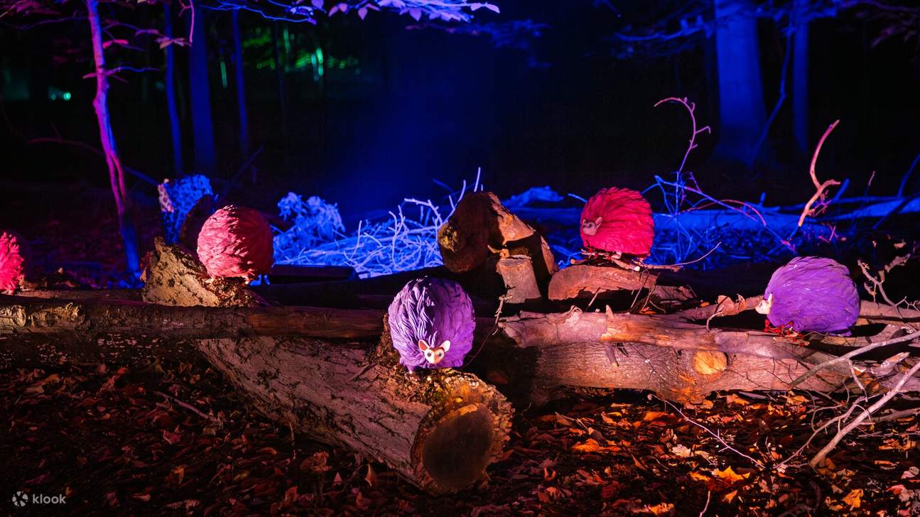 Harry Potter: Esperienza nella Foresta Proibita (Shenzhen)