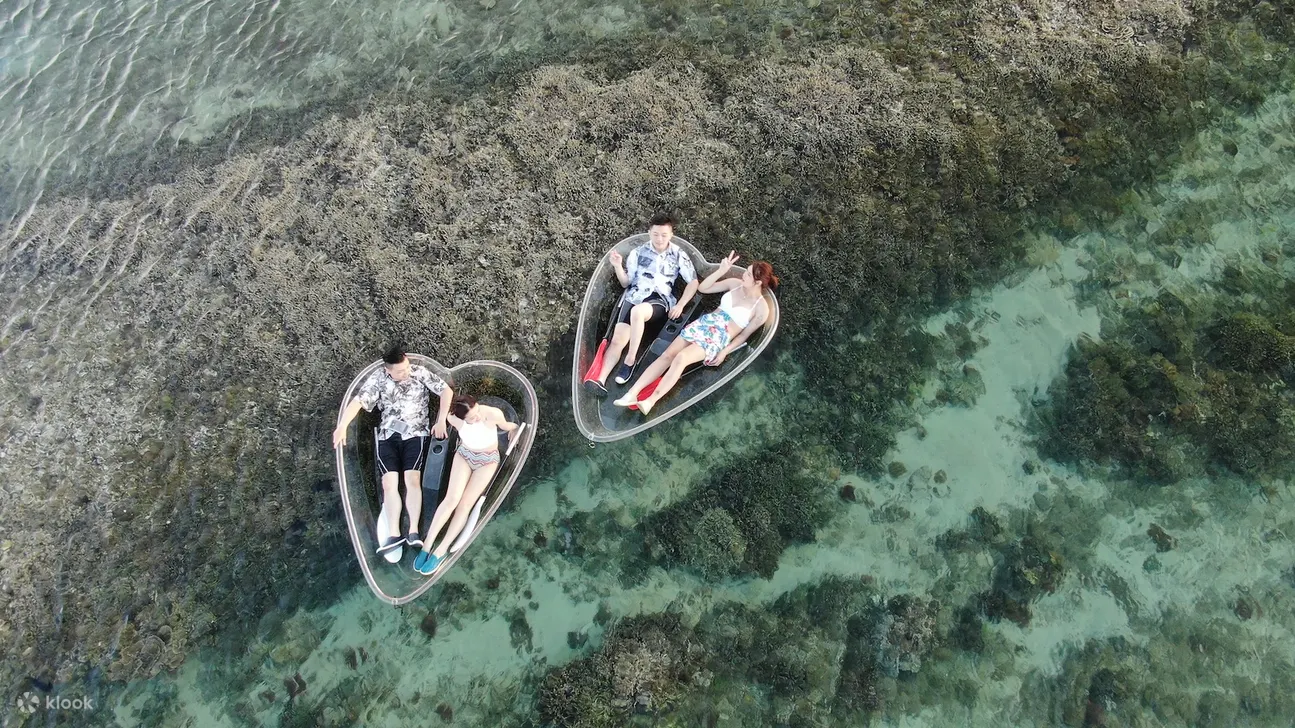 Transparent Aurora Love Boat