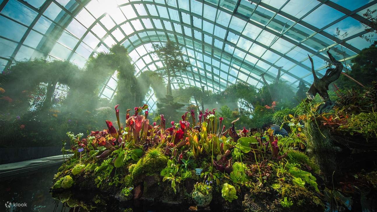 Gardens by the Bay Tickets (Singapore Cloud Forest & Flower Dome ...