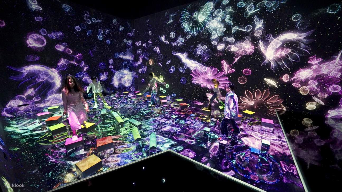 teamLab Planets Tokyo — Балансирующие Камни в Невидимом Мире
