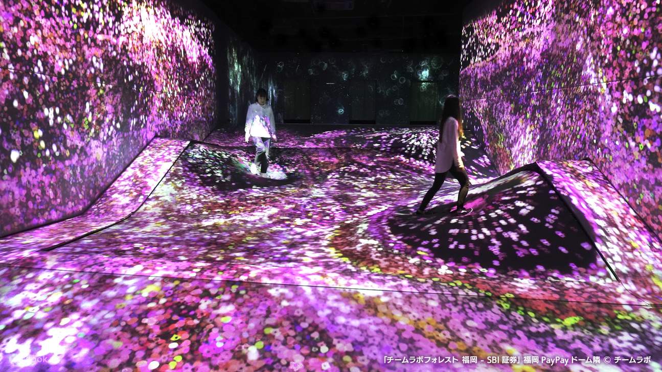 teamLab Forest