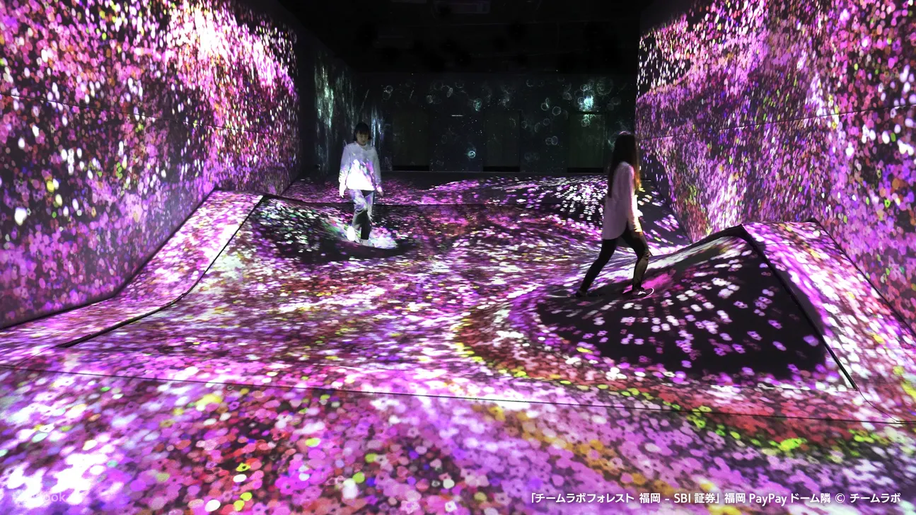 teamLab 森林